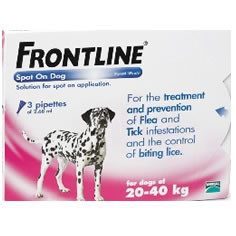 Frontline Spot on Dog for Large Dogs 20kg to 40kg