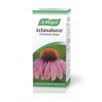 A Vogel Bioforce Echinaforce Drops 100ml