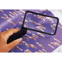 Folding Rectangular Magnifier