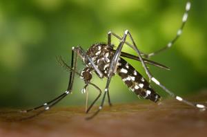 Protect yourself from Malaria